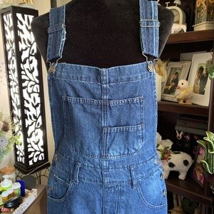 Free People Ziggy Denim Overalls
